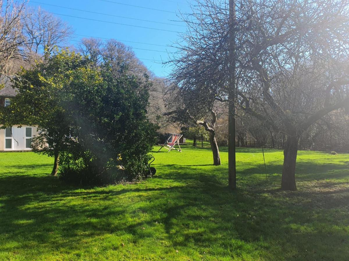 Osbornes Holiday House Near Exeter With Swimming Pool Buitenkant foto